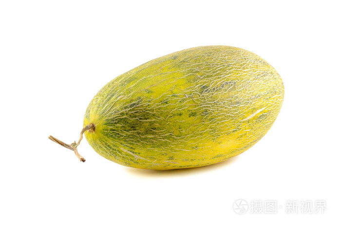哈密瓜椭圆形