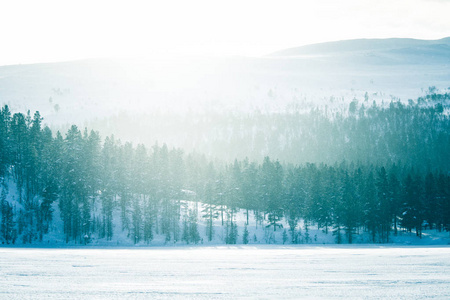 挪威中部的一个美丽的冬天风景与下雪的树和山在距离