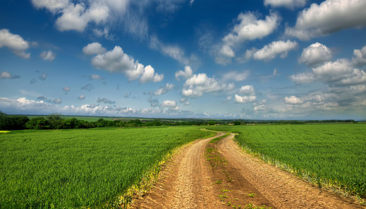 通过乡村路