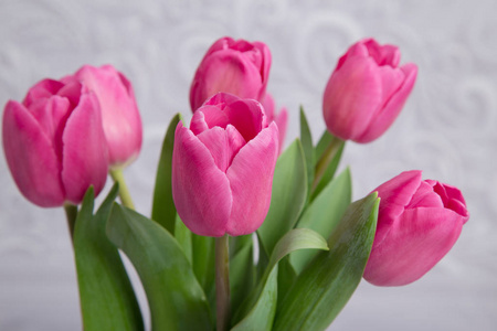 灰色背景下的粉红色新鲜郁金香花束