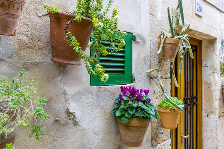 西班牙的 valldemosa 市 在墙上挂着花的花盆照片
