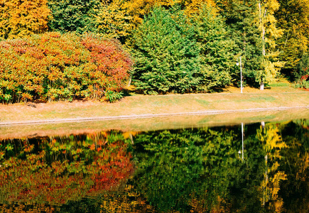 秋天的树叶, 枫树分枝靠在湖面和天空。公园里阳光明媚的日子