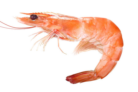 熟虾特写镜头照片