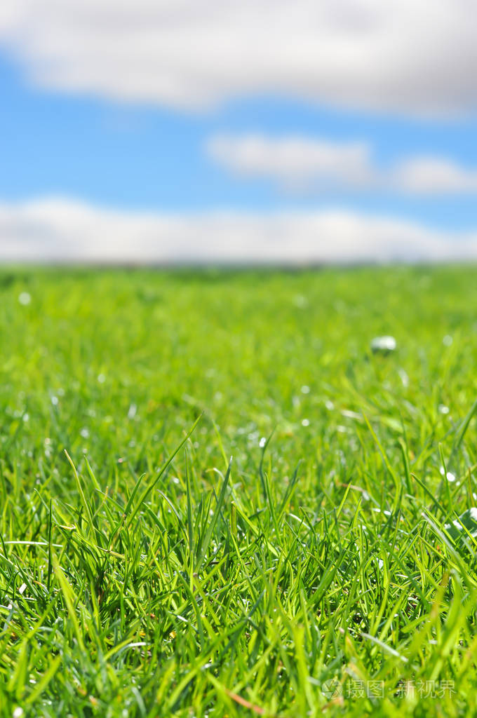 蓝天白云与绿草背景的一个夏日照片 正版商用图片0glemo 摄图新视界