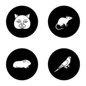 宠物字形图标设置。英国猫, 老鼠, 豚鼠, 鹦鹉。黑色圆圈中的矢量白色剪影插图