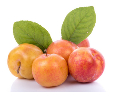 成熟的黄色李子照片