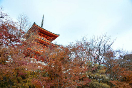 在秋天，日本京都清水寺