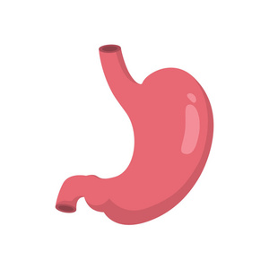 胃插画图片