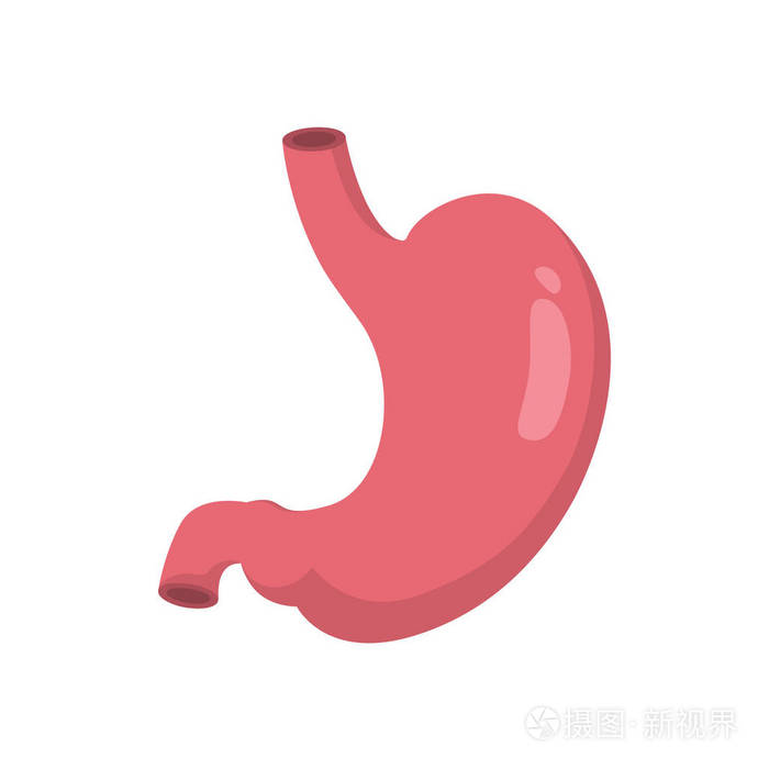 人的胃插画设计