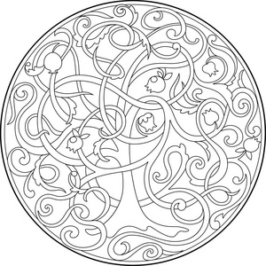 生命之树树画画生命之树与交织在一起的分支的图形图像照片