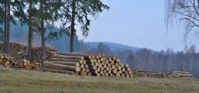 准备好运输，南波西米亚的木材