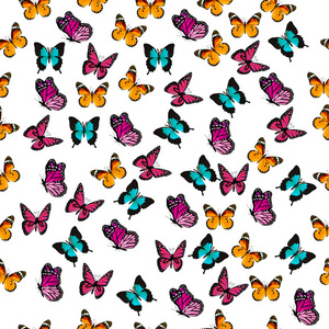 色彩鲜艳的蝴蝶的插图