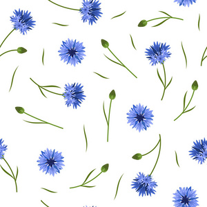 白色背景蓝色玉米花的无缝花卉图案