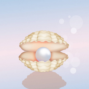 扇贝在外壳程序中珍珠在外壳程序中照片