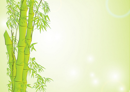 竹子在浅绿色背景