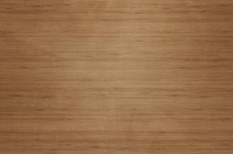 山毛榉垃圾图片-山毛榉垃圾素材-山毛榉垃圾插画-摄图新视界