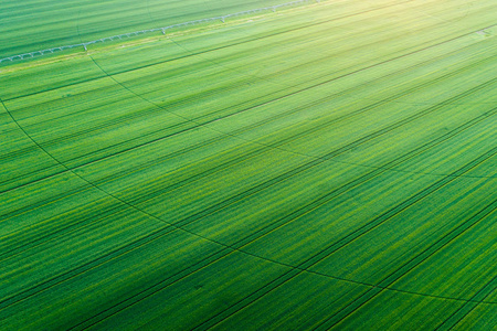 麦田灌溉系统图片
