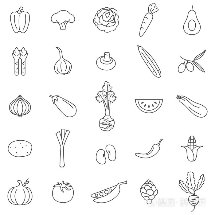 蔬菜线图标