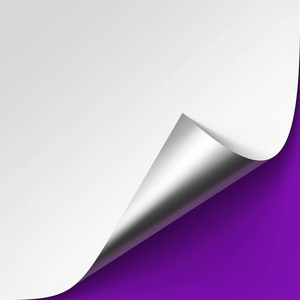 白皮书与阴影模拟了分离近距离上紫紫色淡紫色背景的卷曲金属银角