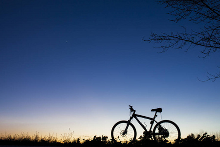 山地自行车在夕阳下树在蔚蓝的天空的轮廓