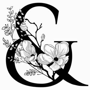 矢量手绘花卉符号字母和徽标照片