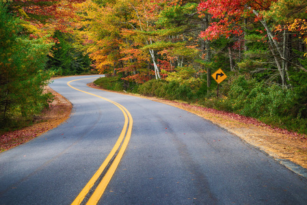 曲折的道路，通过在新英格兰的秋天的树木