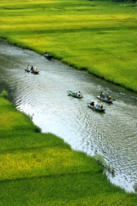 稻场和河，Ninhbinh，越南风景