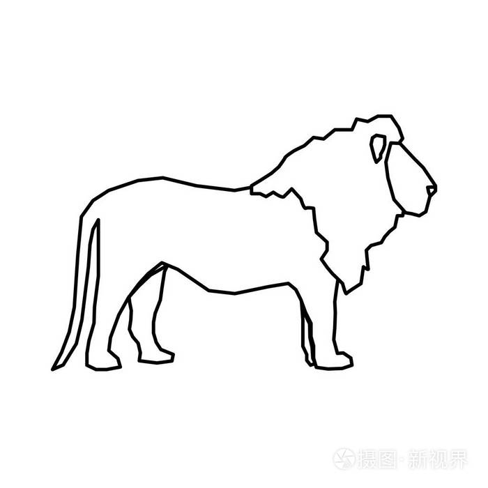 狮子非洲动物插画