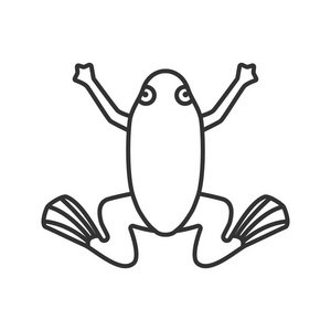 在水中,中华大蟾蜍蟾蜍蟾蜍的道路上蟾蜍 (癞蛤蟆) 在叶子上中华大