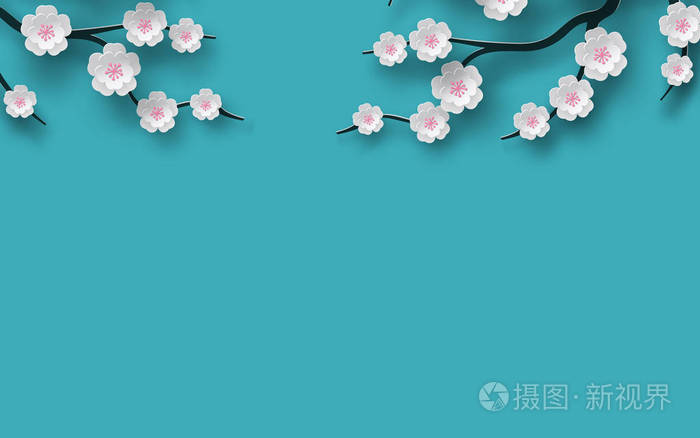 花卉背景装饰盛开的樱花枝, 明亮的蓝色背景为春季季节设计.