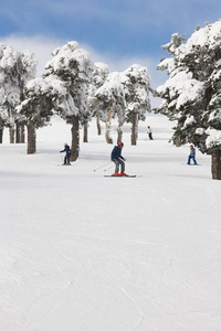 人们在森林斜坡上滑雪。白色山风景。运动