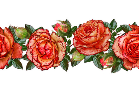 水平的花边框。模式，无缝。加兰的花。美丽明亮橙色玫瑰，芽，绿色的树叶。白色背景上孤立