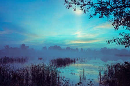 清晨, 黎明越过湖面。晨雾, 田园风光, 荒野, 神秘情怀