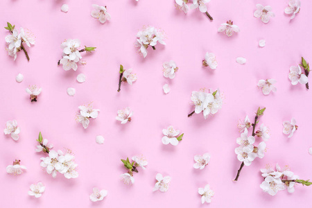 图案由白色的春天花在粉红色的背景。组成的花朵。顶部视图, 复制空间, , 平面放置