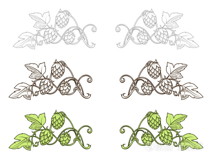 啤酒花装饰矢量图