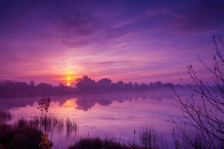 清晨, 黎明越过湖面。晨雾, 田园风光, 荒野, 神秘情怀