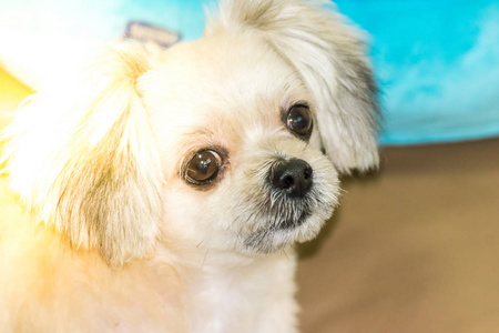 性格开朗的方面图片-性格开朗的方面素材-性格开朗的方面插画-摄图新