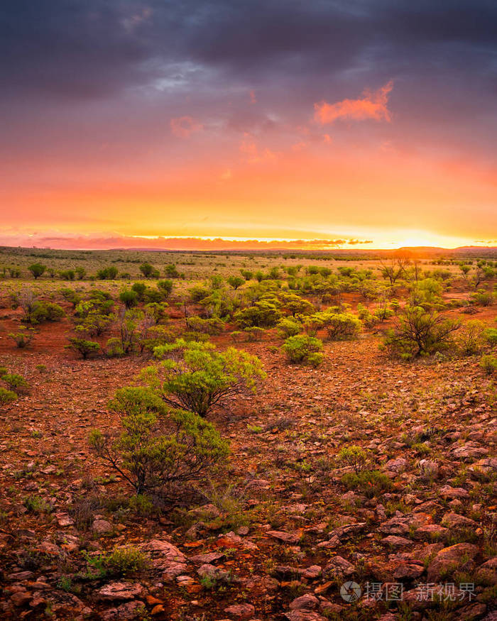 澳大利亚爱丽丝泉自然景观景观