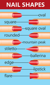 不同的指甲形状指甲时尚潮流。矢量图