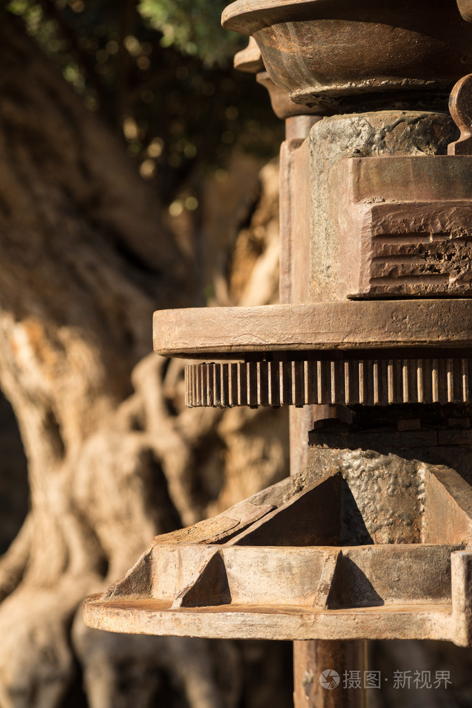 橄榄色的老磨坊