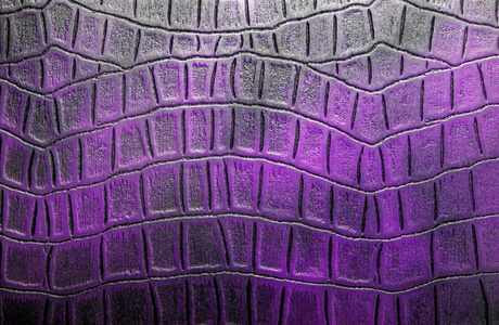 紫色鳄鱼图案背景图片-紫色鳄鱼图案背景素材-紫色鳄鱼图案背景插画