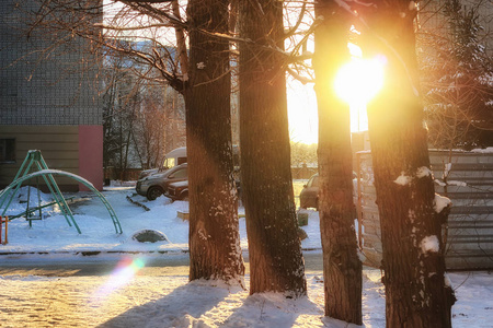 森林景观阳光冬雪