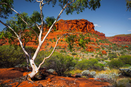 美丽的澳大利亚自然风光景观图片