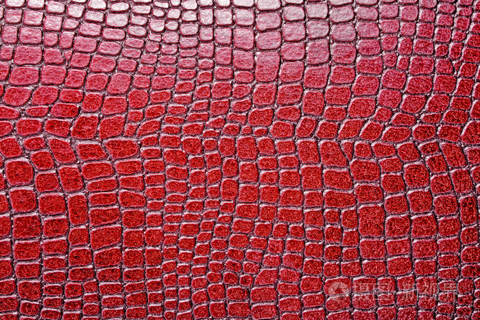 红色鳄鱼图案背景