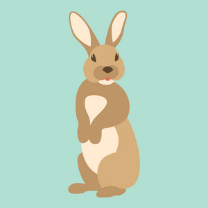 兔子兔矢量插画扁式前侧