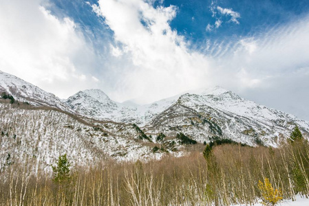 在山中风景