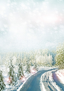 张圣诞贺卡。冬季景观