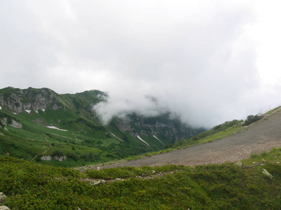 非常美丽的山, 绿色的山脉, 夏天的雪, 高山