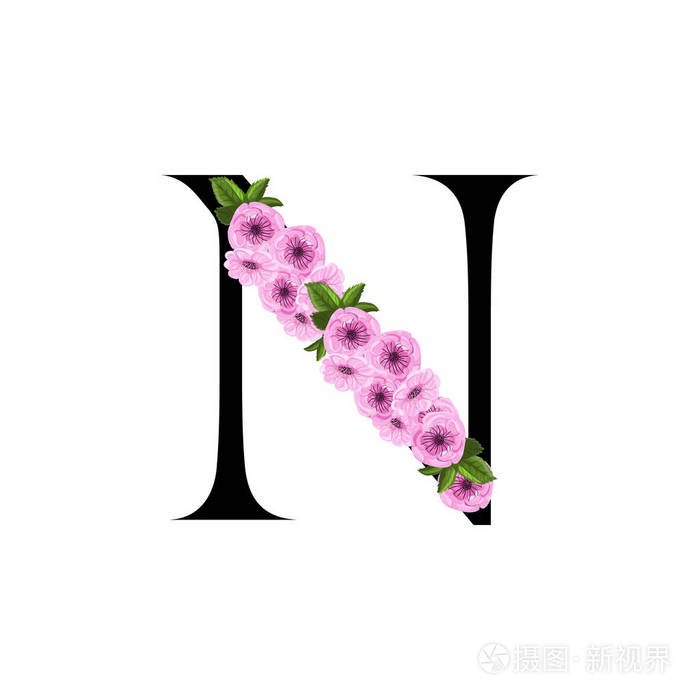 字母n花饰