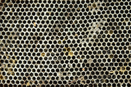 死蜂巢下落在地面背景和纹理图片